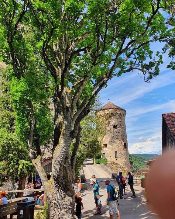 Burgschenke Burg Guttenberg